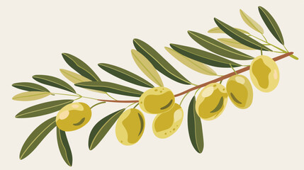 Ripe fruits on a branch. Flat image of green olives white