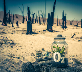 Jar with plant and mask on burnt forest background