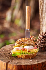Homemade and fresh sandwich for breakfast in forest.