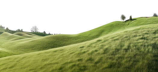 PNG Hill landscape grassland panoramic. - obrazy, fototapety, plakaty
