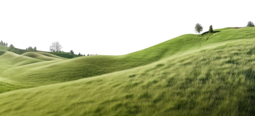 PNG Hill landscape grassland panoramic.