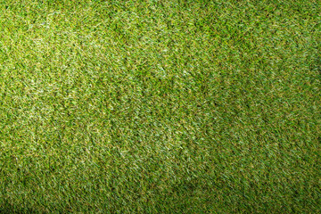 Grass background simple top view. Fresh spring bright grass, lawn or clearing empty with space for text