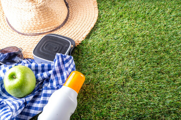 Spring, summer picnic, outdoor recreation background. A woman's straw hat, a picnic blanket or tablecloth, sunscreen spray, an apple on a background of green artificial grass or lawn, copy space - 787167113