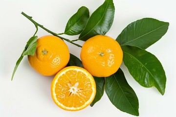 oranges with leaves isolated