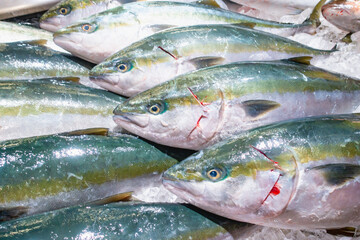 魚市場で売られている魚の写真