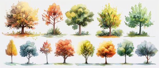 Foto op Plexiglas A collection of hand-drawn watercolor trees, perfect for creating forest landscapes in your artwork. © ChubbyCat