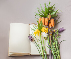 Blooming fritillaria and open sketchbook with blank pages