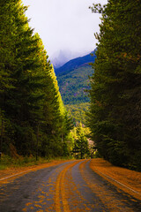 Small circuit 'Circuito Chico' in bariloche route 40, autumn winter season with orange, yellow and green colors. Argentine Patagonia