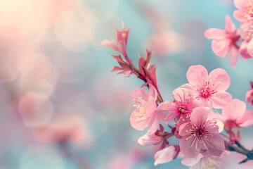 Blushing blossom closeup, silky texture, pastel palette, banner size