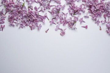 Lilac flowers on a white background. Flat lay arrangement. Top view. Copy space.