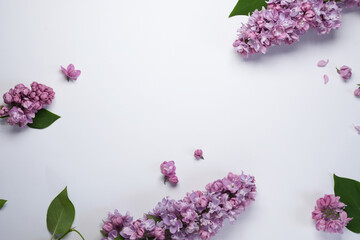 Frame of lilac flowers with space for text on white background. Flat lay, top view.