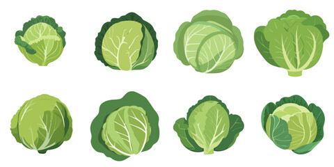 Vector illustration of cabbages with multiple simple designs