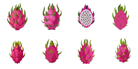 Vector illustration of dragon fruits with multiple simple designs