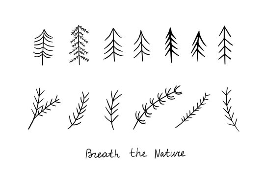 Set of fir trees, spruce branches, Christmas tree branches in doodle style. Forest, indoor plants, small plants, gardening. Great for banner, poster, stickers, professional design. Hand drawn
