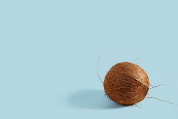 Whole coconut on a light blue background. - 787177720