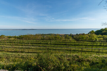 Fototapeta na wymiar View of the Hungarian sea and vineyards.