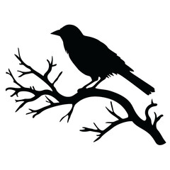 a bird sitting on top of a tree branch