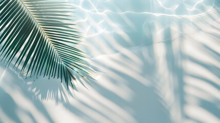 palm leaf shadow on abstract white sand beach background sun lights on water surface beautiful...