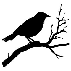 a bird sitting on top of a tree branch