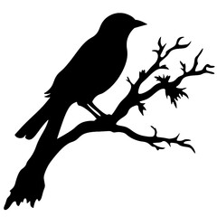 a bird sitting on top of a tree branch