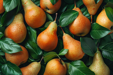 Pattern of pears and leaves