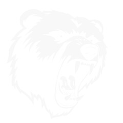 Bear Mascot - Vector Illusrations for T-shirts and Logos
