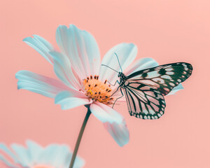 Pastel pink background with a white flower and butterfly in the center, creating an aesthetic composition. Close up. Minimal spring and summer concept. Greeting card