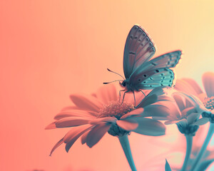 A butterfly sitting on top of flowers with a pastel orange and pink background. Ethereal dreamscapes with soft edges and blurred details. Minimal spring and summer idea