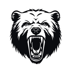 roaring bear looking directly at the camera