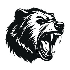 roaring bear looking directly at the camera