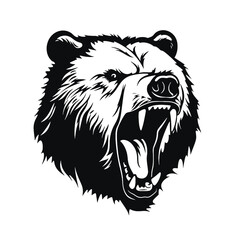 Growling bear head isolated on white background. Vector illustration
