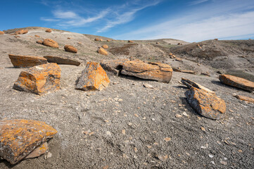 Pieces of red concretions on a hillside at Red Rock Coulee near Seven Persons, Alberta, Canada