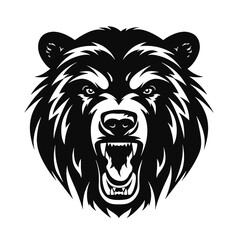 Vector roaring bear isolated on white background. Furious bear head