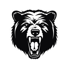 Vector roaring bear isolated on white background. Furious bear head