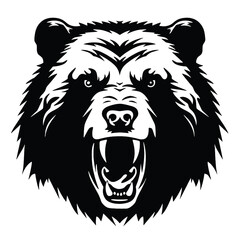 Vector roaring bear isolated on white background. Furious bear head