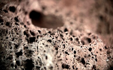 Macro Photograph Piece Porous Rock With Texture - obrazy, fototapety, plakaty