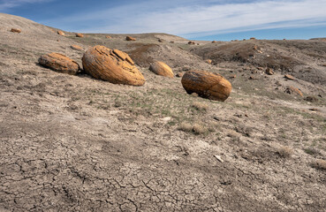 Round red concretions on a hillside at Red Rock Coulee near Seven Persons, Alberta, Canada