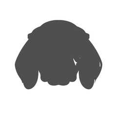 Close-up portrait of  Beagle dog.