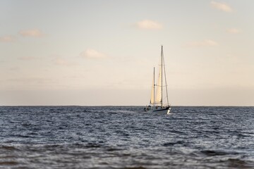 sailing on a yacht in the australian in the remote forest wilderness in spring
