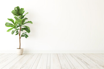 Interior empty white wall with plant