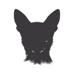Chihuahua dog - vector illustration