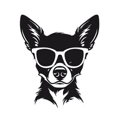 Chihuahua with sunglasses