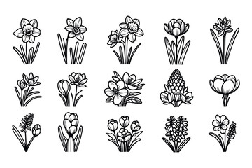 Crocus line icons set, thin line and flat icons isolated on white background. Crocus sativus. Vector illustration.