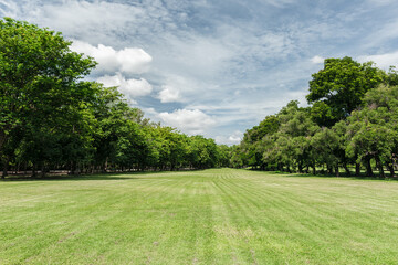 Beautiful landscape in park with green grass field - 787200750