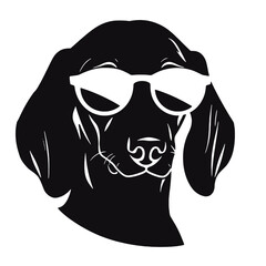 Dachshund Dog Head Potrait Vector on a White Background