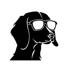 Dachshund Dog Head Potrait Vector on a White Background