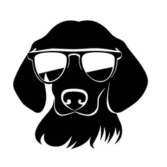 Dachshund dog face isolated on a white background