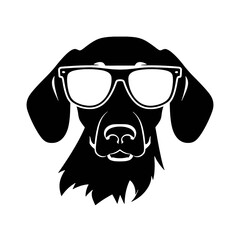 Dachshund dog face isolated on a white background