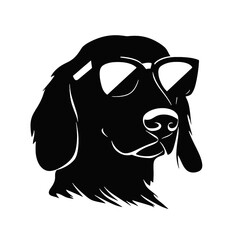 Dachshund dog face isolated on a white background