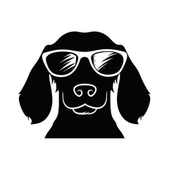 Dachshund dog face isolated on a white background
